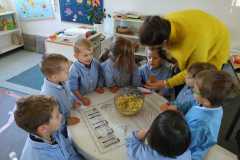 IMG-20201124-WA0030