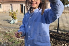 Jardinage